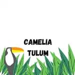 Camelia