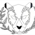 Jaguar Negro
