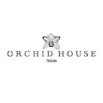 Orquídea