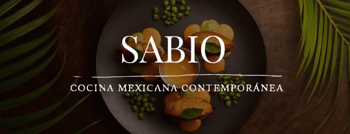 Sabio
