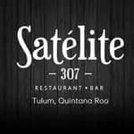 Satelite 307
