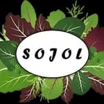 Sojol