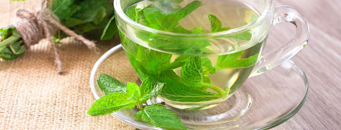 Fresh mint tea