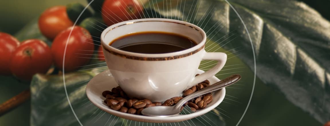 Organic coffee from chiapas