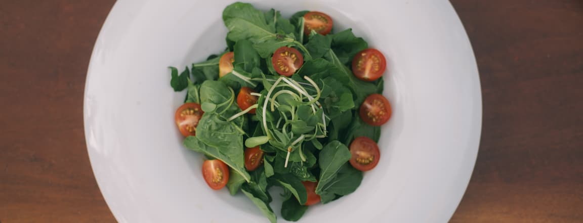 Rocket Salad