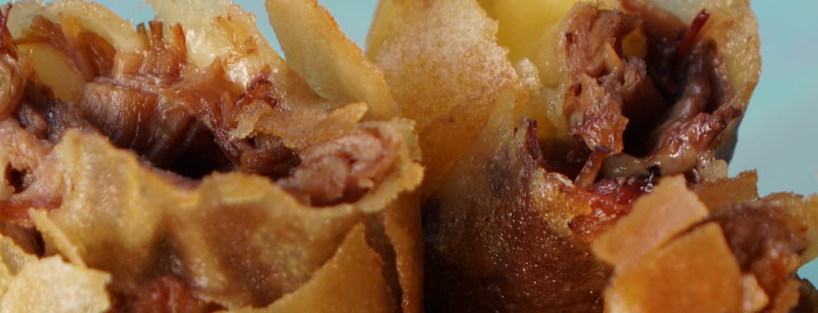 Birria spring rolls