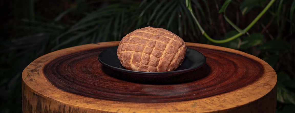 Cacao concha
