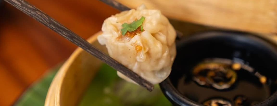 Thai Dumplings