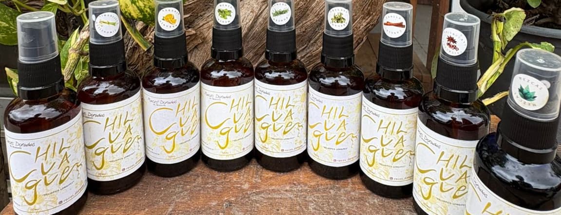 Chilcuague 50ml