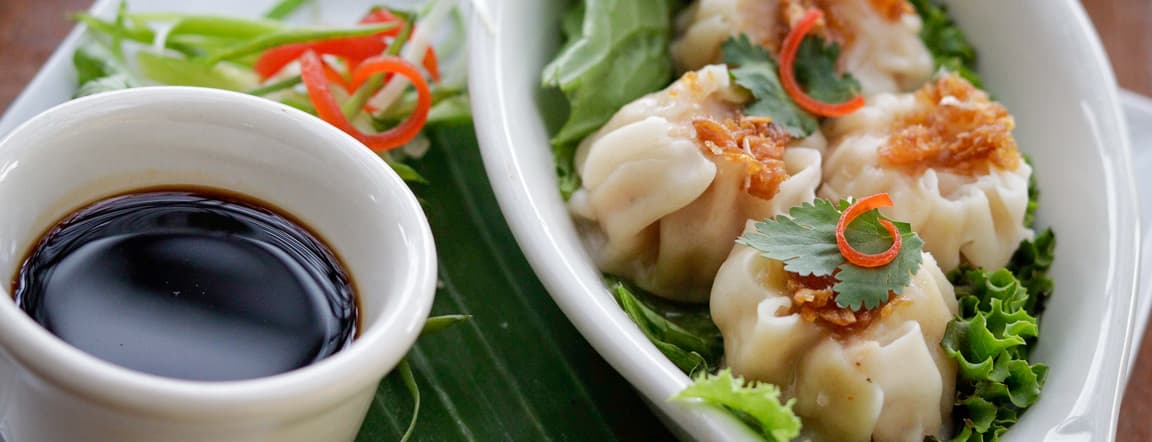 Thai dumplings