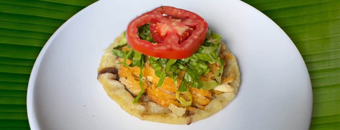 Milanesa de pollo