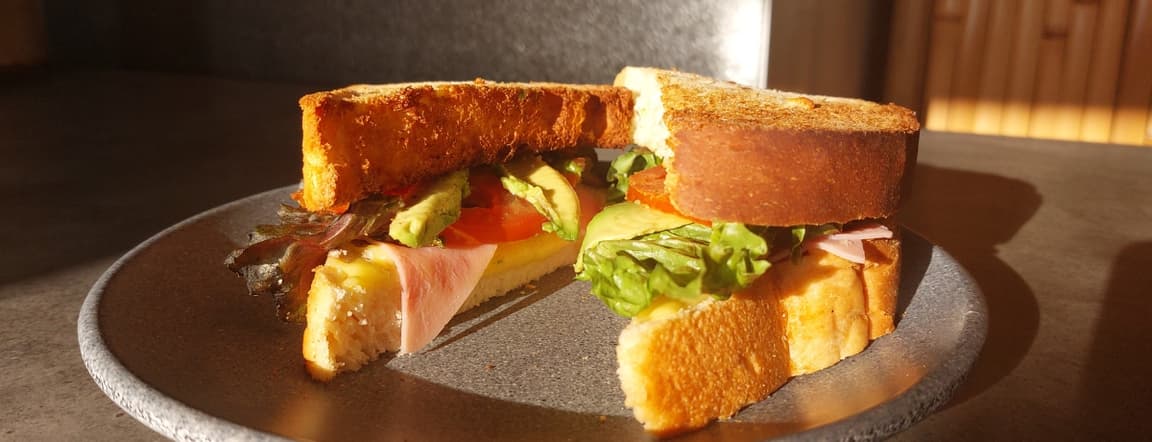 Classic sandwich