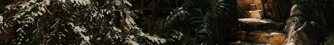 Ixchel Ixchel