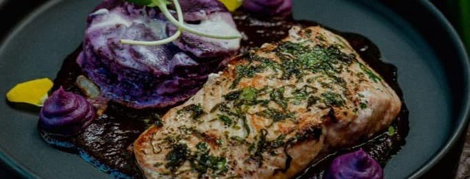 Salmon