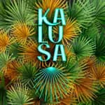 Kalusa Kalusa