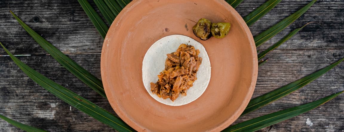 Jackfruit taco