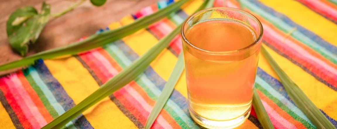 Special drink de la casa: lemon grass with tumeric 16 oz.