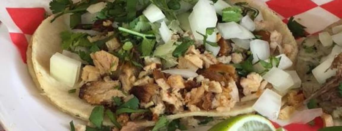 Pork carnitas taco