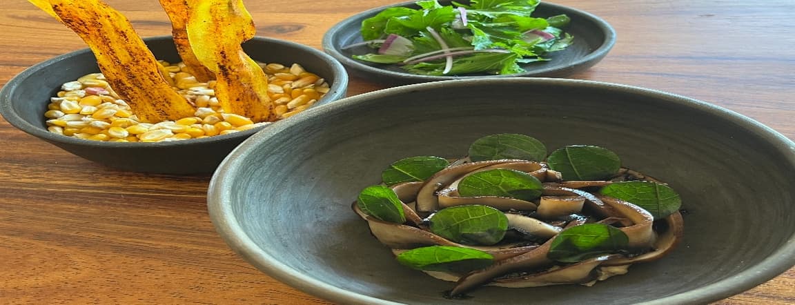 Confit portobello tacos