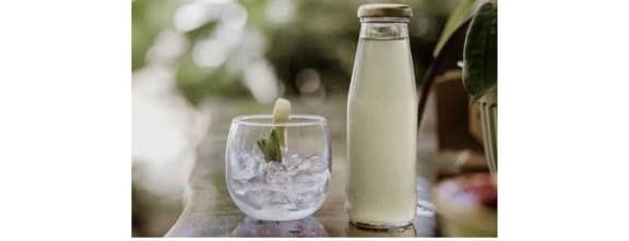 Lemonade w mint