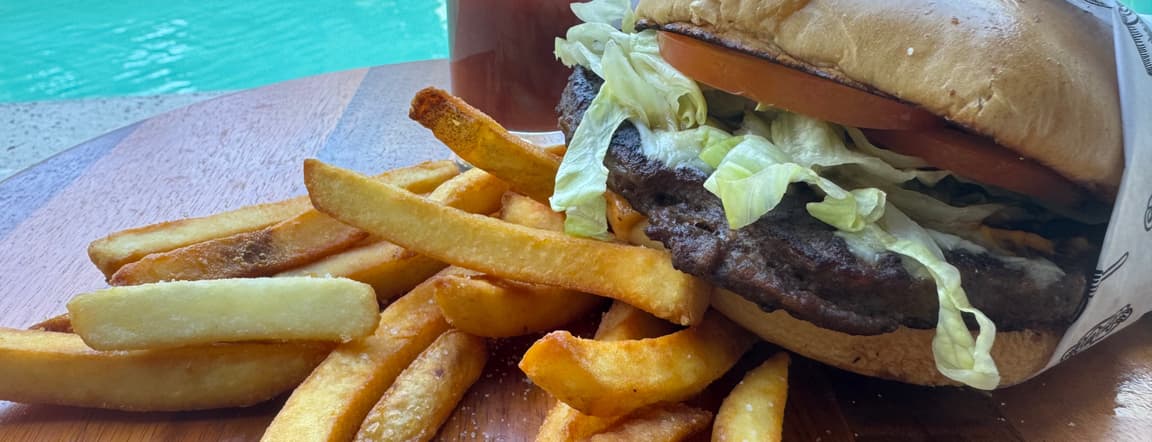 Burguer with fries