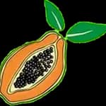 Papaya Pizza Papaya Pizza