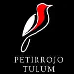 Petirrojo Petirrojo
