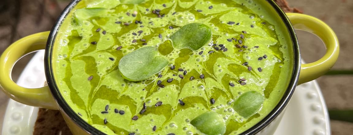Cream of herbs
