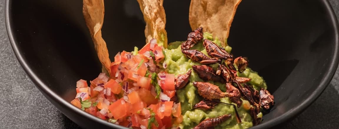 Guacamole whit grasshoppers