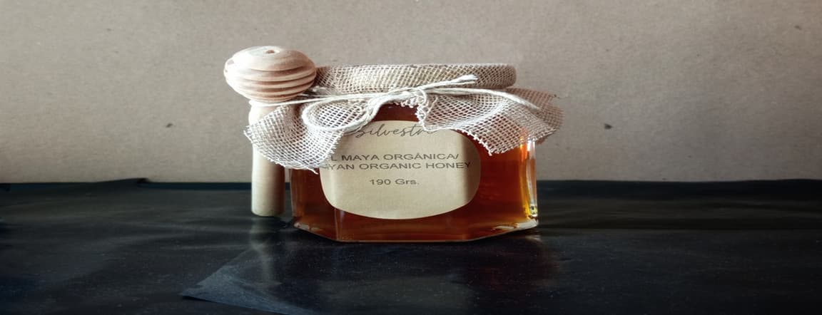 Mayan organic honey 190gr