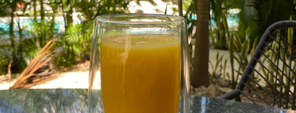 Fruit smoothie 100 kcal