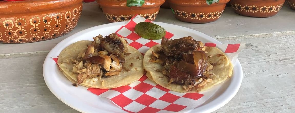 Mexican carnitas taco