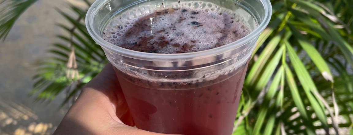 Blueberry smoothie