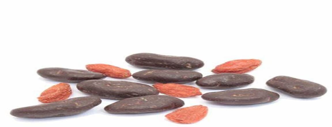 Goji berries with dark chocolate 50gr