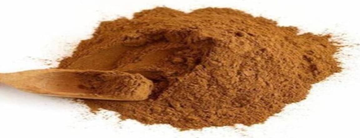 Reishi mushroom 200gr