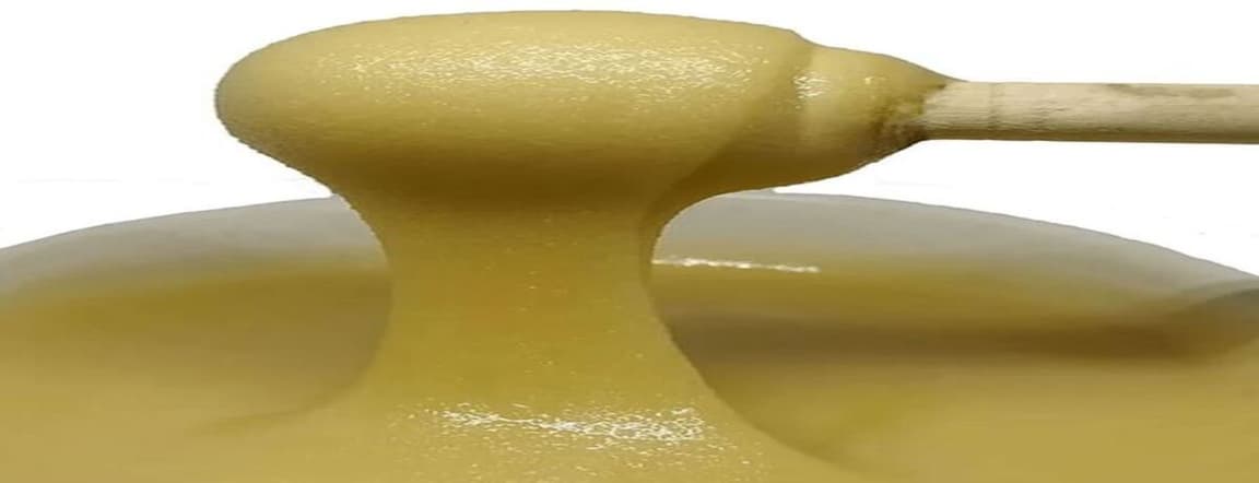 Organic mezquite honey 400gr