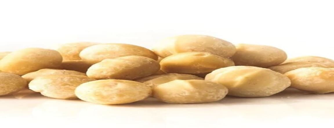 Nuez de macadamia 50gr