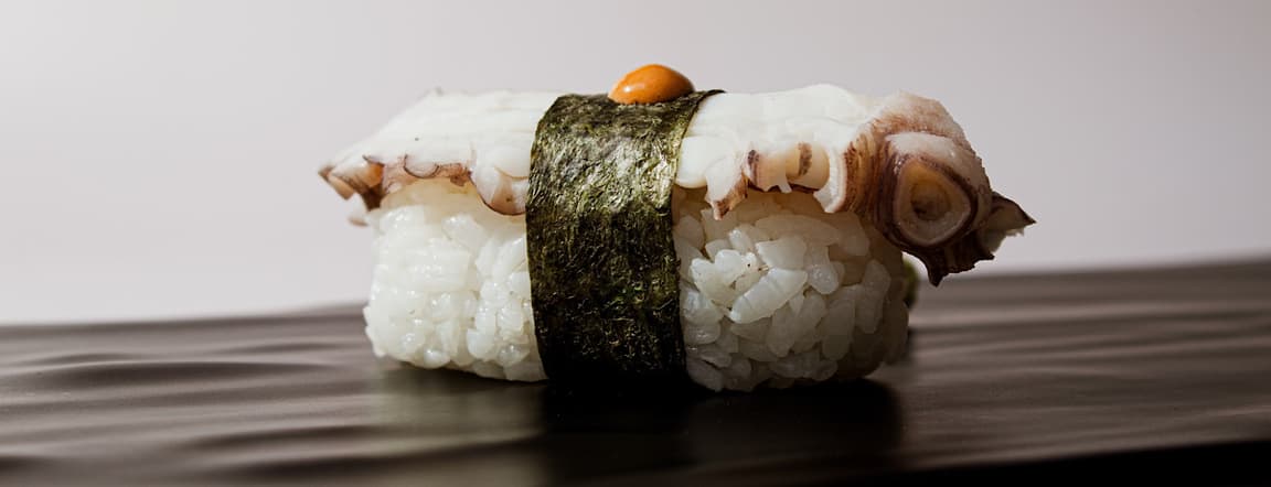 Octopus nigiri