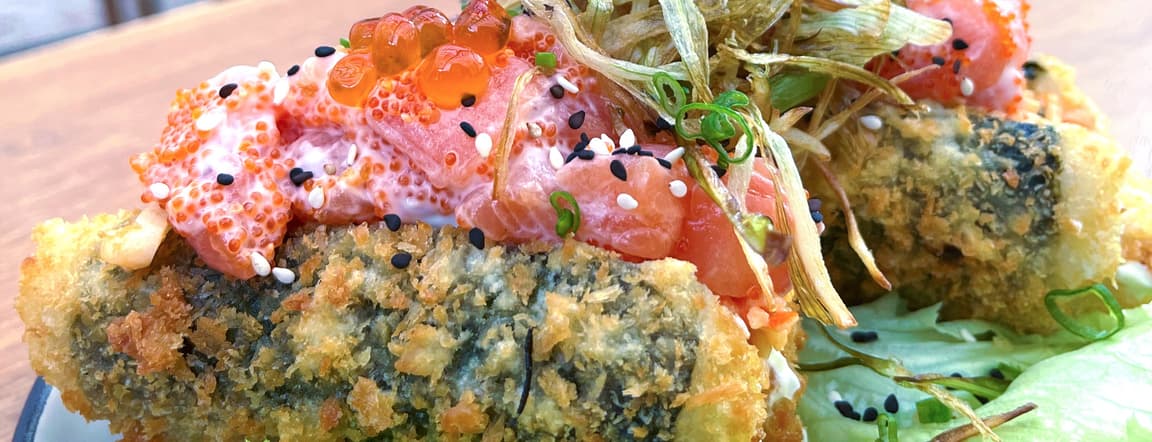 Salmon japamex dog