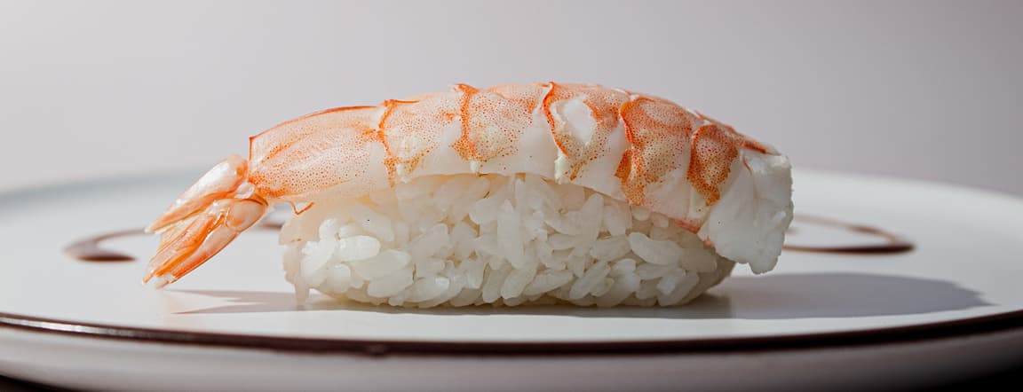 Shrimp nigiri