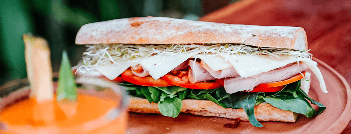 Turkey breast paninni